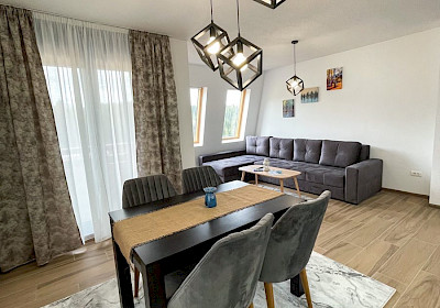 Ravna planina *Apartman 109
