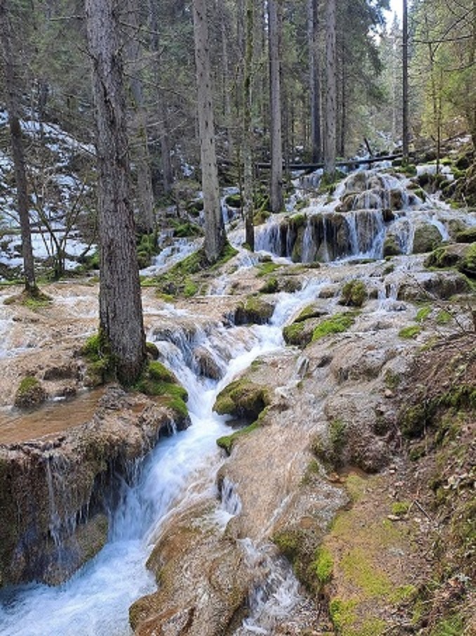 Vrelo Miljacke